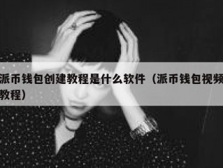 派币钱包创建教程是什么软件（派币钱包视频教程）