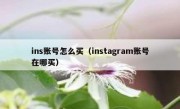 ins账号怎么买（instagram账号在哪买）