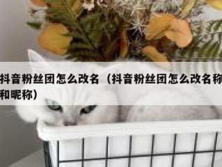 抖音粉丝团怎么改名（抖音粉丝团怎么改名称和昵称）