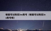 哪里可以购买ins账号（哪里可以购买ins账号呢）