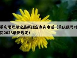 重庆限号规定最新规定查询电话（重庆限号时间2023最新规定）