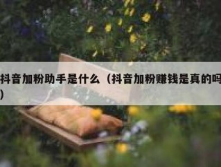 抖音加粉助手是什么（抖音加粉赚钱是真的吗）