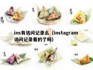 ins有访问记录么（instagram 访问记录看的了吗）