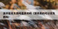 派币能买东西吗是真的吗（派币真的可以买东西吗）
