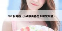 Nat服务器（nat服务器怎么绑定域名）