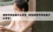视频号等级是什么意思（微信视频号等级是什么意思）