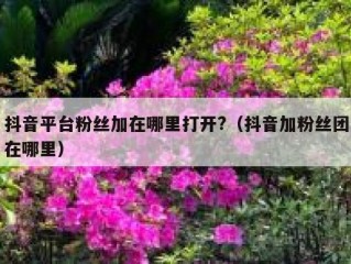抖音平台粉丝加在哪里打开?（抖音加粉丝团在哪里）