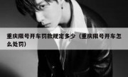 重庆限号开车罚款规定多少（重庆限号开车怎么处罚）