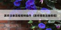 派币注册流程视频操作（派币钱包注册教程）