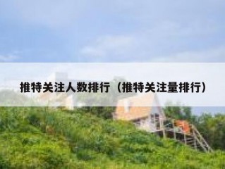 推特关注人数排行（推特关注量排行）