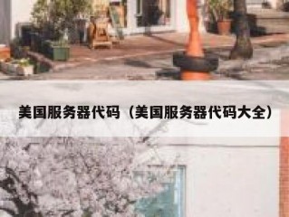 美国服务器代码（美国服务器代码大全）