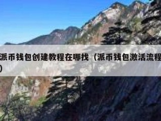 派币钱包创建教程在哪找（派币钱包激活流程）