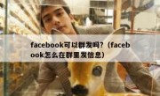 facebook可以群发吗?（facebook怎么在群里发信息）