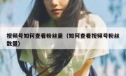 视频号如何查看粉丝量（如何查看视频号粉丝数量）