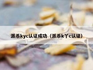派币kyc认证成功（派币k丫c认证）