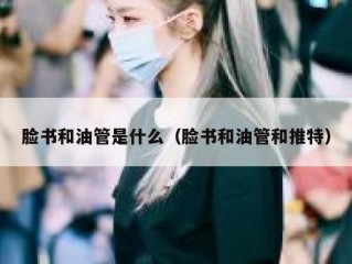 脸书和油管是什么（脸书和油管和推特）