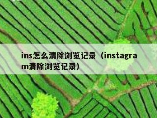 ins怎么清除浏览记录（instagram清除浏览记录）