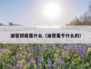 油管到底是什么（油管是干什么的）