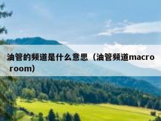 油管的频道是什么意思（油管频道macro room）