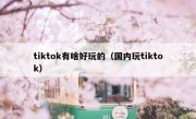 tiktok有啥好玩的（国内玩tiktok）
