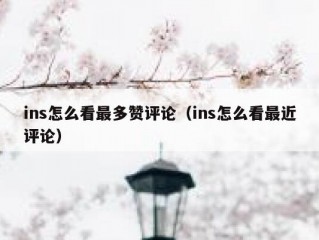 ins怎么看最多赞评论（ins怎么看最近评论）