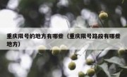 重庆限号的地方有哪些（重庆限号路段有哪些地方）