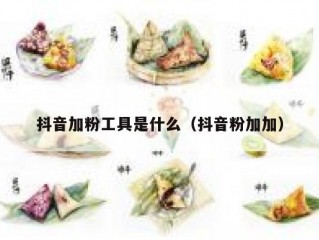 抖音加粉工具是什么（抖音粉加加）
