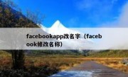facebookapp改名字（facebook修改名称）