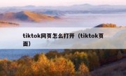 tiktok网页怎么打开（tiktok页面）