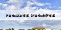 抖音粉丝怎么赚钱?（抖音粉丝如何赚钱）
