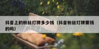 抖音上的粉丝灯牌多少钱（抖音粉丝灯牌要钱的吗）