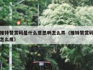 推特赞赏码是什么意思啊怎么弄（推特赞赏码怎么用）