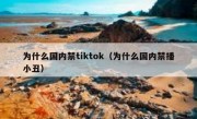 为什么国内禁tiktok（为什么国内禁播小丑）