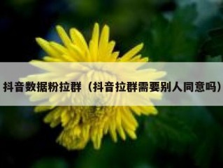 抖音数据粉拉群（抖音拉群需要别人同意吗）
