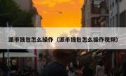 派币钱包怎么操作（派币钱包怎么操作视频）