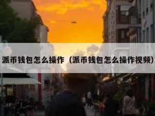 派币钱包怎么操作（派币钱包怎么操作视频）