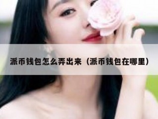 派币钱包怎么弄出来（派币钱包在哪里）