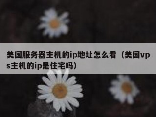 美国服务器主机的ip地址怎么看（美国vps主机的ip是住宅吗）