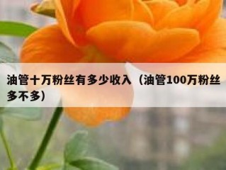 油管十万粉丝有多少收入（油管100万粉丝多不多）