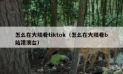 怎么在大陆看tiktok（怎么在大陆看b站港澳台）