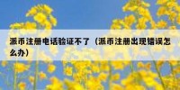 派币注册电话验证不了（派币注册出现错误怎么办）