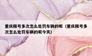 重庆限号多次怎么处罚车辆的呢（重庆限号多次怎么处罚车辆的呢今天）