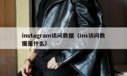 instagram访问数据（ins访问数据是什么）