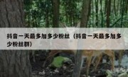 抖音一天最多加多少粉丝（抖音一天最多加多少粉丝群）