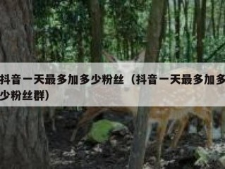 抖音一天最多加多少粉丝（抖音一天最多加多少粉丝群）