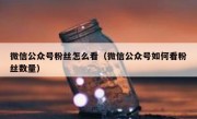 微信公众号粉丝怎么看（微信公众号如何看粉丝数量）