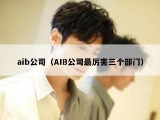 aib公司（AIB公司最厉害三个部门）
