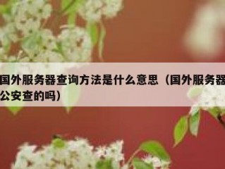 国外服务器查询方法是什么意思（国外服务器公安查的吗）