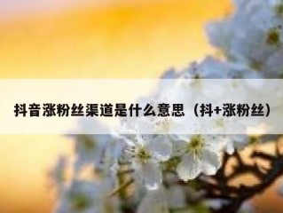 抖音涨粉丝渠道是什么意思（抖+涨粉丝）