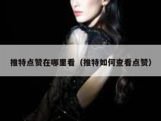 推特点赞在哪里看（推特如何查看点赞）